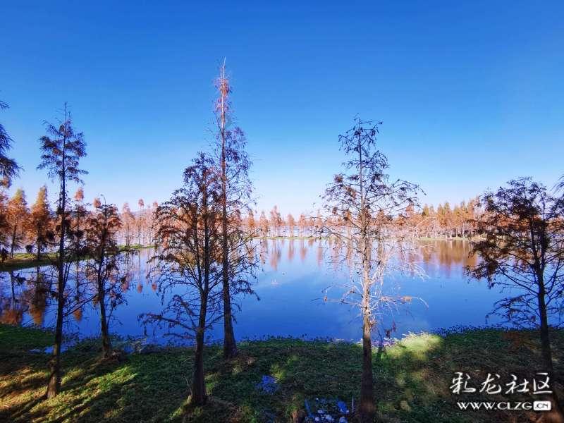 滴滴营运车被撞停运费怎么算有起诉稿吗？游戏画面